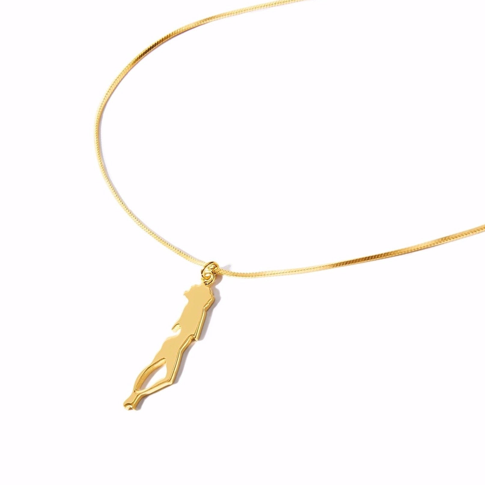 Sophisticated & Sleek Statement –Charm Necklace