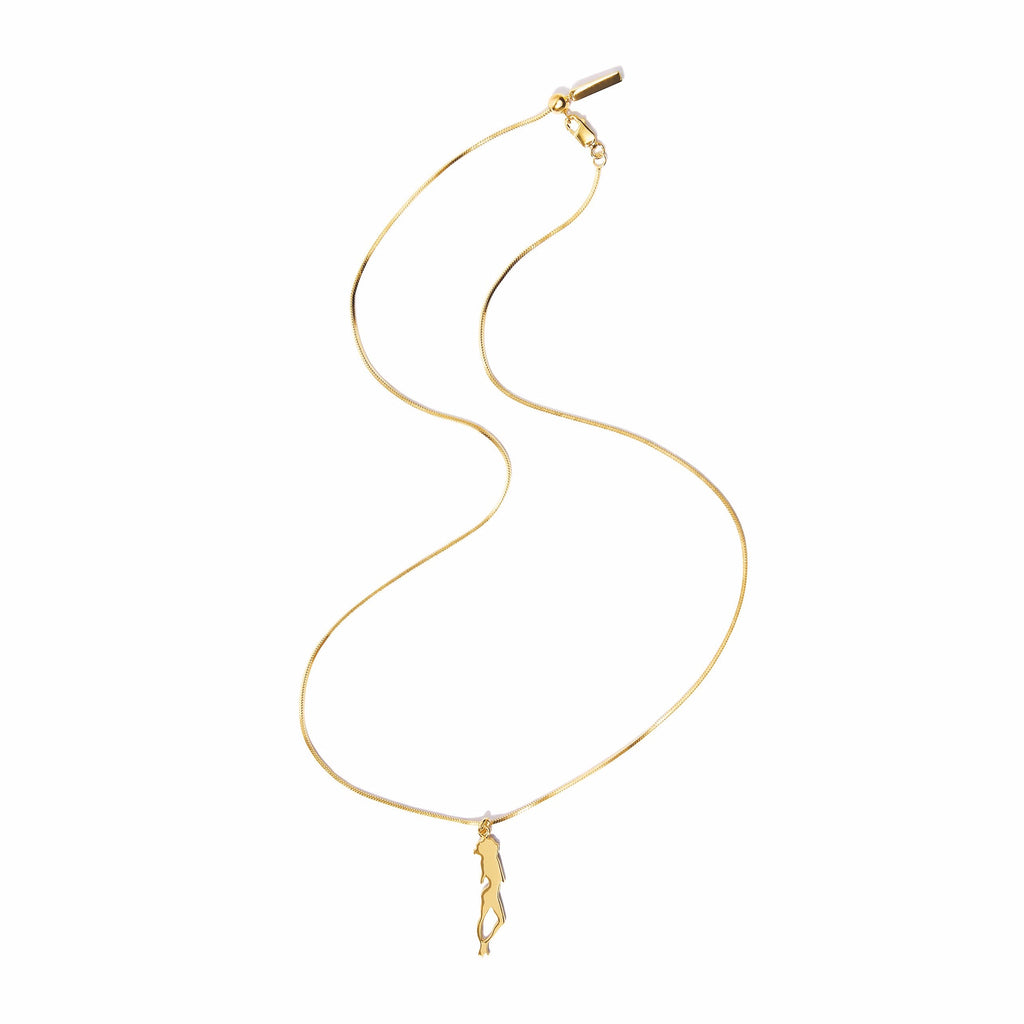 Sophisticated & Sleek Statement –Charm Necklace