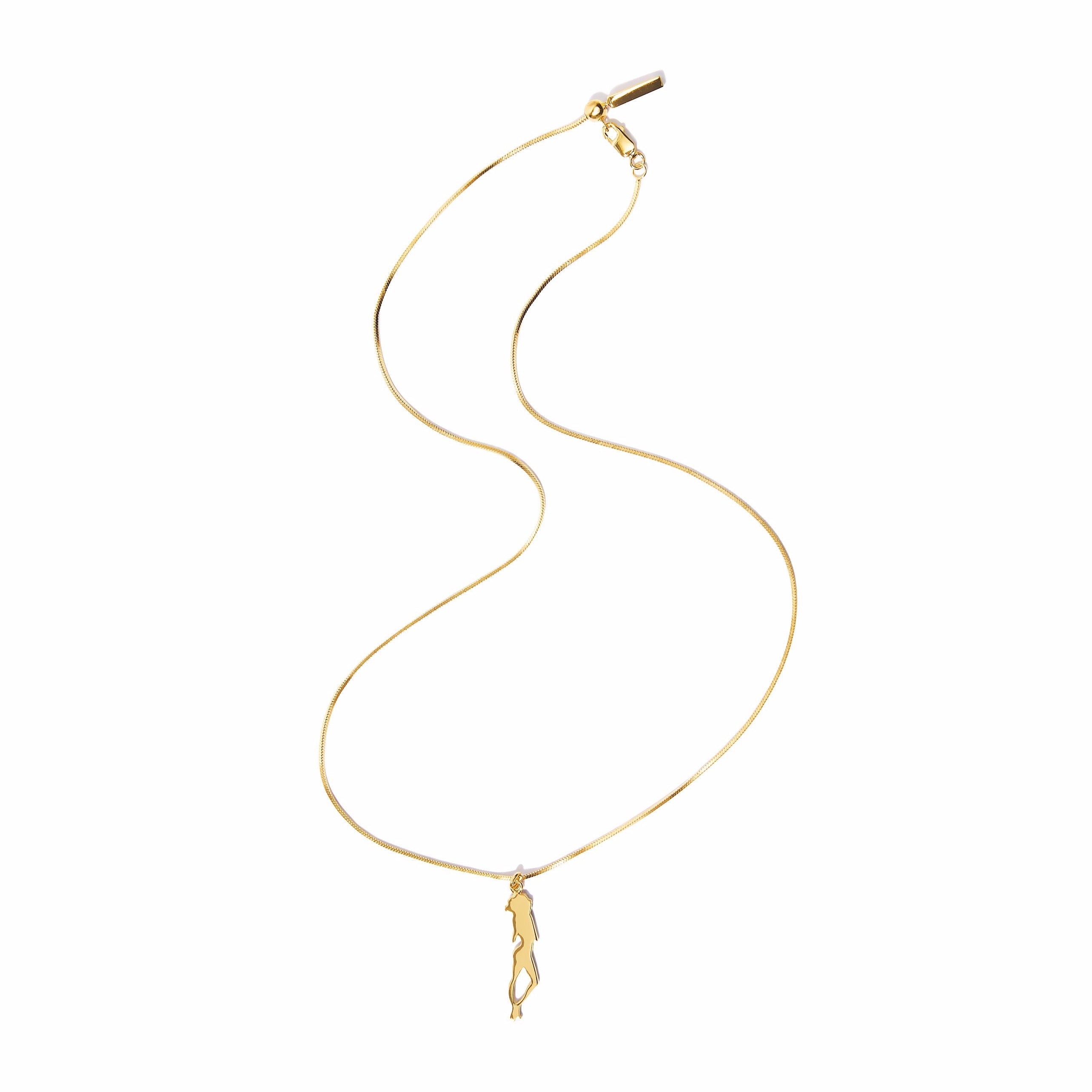 Sophisticated & Sleek Statement –Charm Necklace